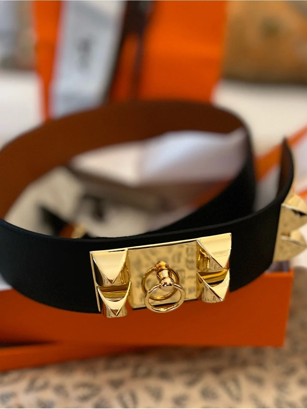 Black Leather Collier de Chien Belt with Gold Stud Hardware - Picture 11 of 11